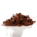 Terrario Terrario Madidi Rainforest 5l 500g - drobne zrębki kokosa