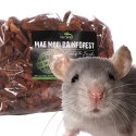 Terrario Terrario Mae Moei Rainforest 5l 450g - duże zrębki kokosa