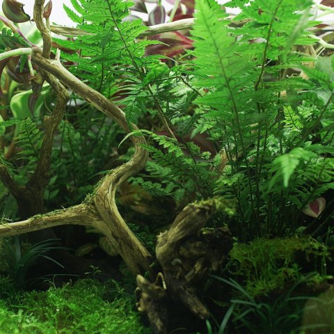 YOKUCHI HAISUI BASE 0,5L - podłoże drenażowe do terrarium YOKUCHI