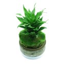 YOKUCHI HAISUI BASE 2L - podłoże drenażowe do terrarium YOKUCHI