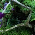 YOKUCHI HAISUI BASE 2L - podłoże drenażowe do terrarium YOKUCHI