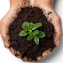 Aventerra Aventerra Sweden Tropica Peat Soil 4l - torf drobny do terrarium