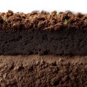 Aventerra Aventerra Sweden Tropica Peat Soil 4l - torf drobny do terrarium