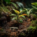 Aventerra Aventerra Sweden Tropica Peat Soil 4l - torf drobny do terrarium