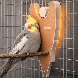 OiiBO OIIBO Parrot Heating Pad - panel grzewczy dla papug 10W