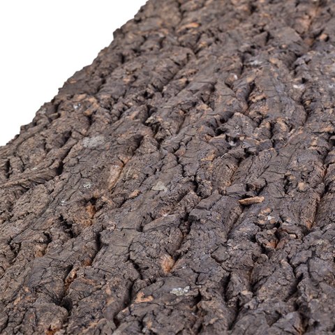 Repti-Zoo Big Tree Background - tło z kory do terrarium 30x30cm Repti-Zoo