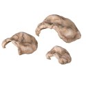 Repti-Zoo Repti-Zoo Jaskinia kamienno-gliniana 14x10x6cm