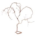 Repti-Zoo Repti-Zoo Jungle Multi Vines - rozgałęziona liana gięta 150cm