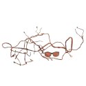 Repti-Zoo Repti-Zoo Jungle Multi Vines - rozgałęziona liana gięta 150cm