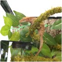 Repti-Zoo Repti-Zoo Liana z naturalnym mchem 1,5cm x 2m