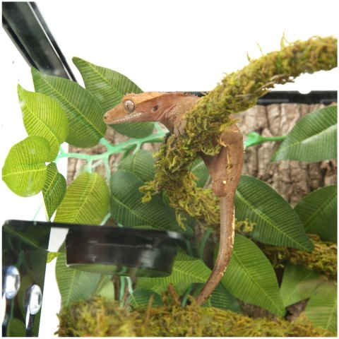 Repti-Zoo Repti-Zoo Liana z naturalnym mchem 1,5cm x 2m