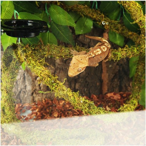 Repti-Zoo Repti-Zoo Liana z naturalnym mchem 1,5cm x 2m