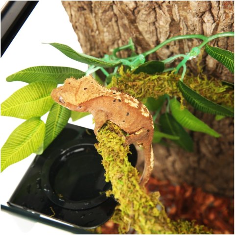 Repti-Zoo Repti-Zoo Liana z naturalnym mchem 1,5cm x 2m