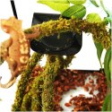 Repti-Zoo Repti-Zoo Liana z naturalnym mchem 1,5cm x 2m