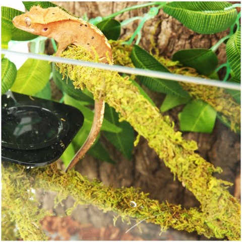 Repti-Zoo Repti-Zoo Liana z naturalnym mchem 1,5cm x 2m