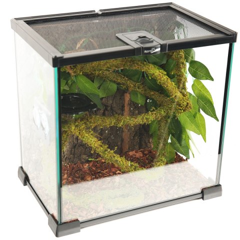 Repti-Zoo Repti-Zoo Liana z naturalnym mchem 1,5cm x 2m