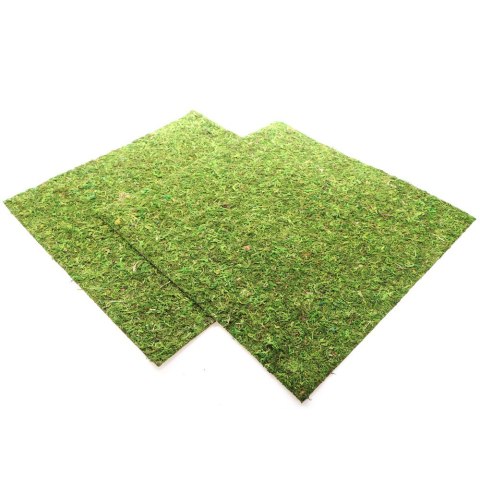 Repti-Zoo Natural Moss Back&Bottom - tło i podłoże z mchu 45x45cm Repti-Zoo