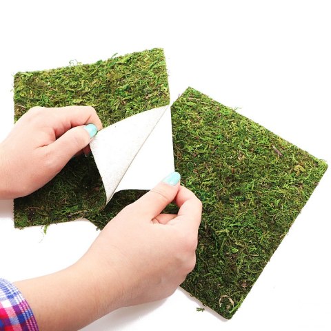 Repti-Zoo Natural Moss Back&Bottom - tło i podłoże z mchu 45x45cm Repti-Zoo