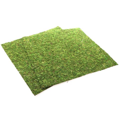 Repti-Zoo Natural Moss Back&Bottom - tło i podłoże z mchu 45x45cm Repti-Zoo