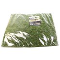Repti-Zoo Natural Moss Back&Bottom - tło i podłoże z mchu 45x45cm Repti-Zoo