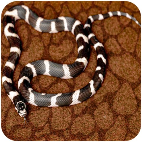 Repti-Zoo Resun Desert Carpet Mat - mata do terrarium 50x20cm