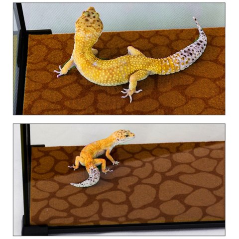 Repti-Zoo Resun Desert Carpet Mat - mata do terrarium 80x30cm