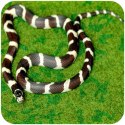 Repti-Zoo Resun Tropical Carpet Mat - mata do terrarium 80x30cm