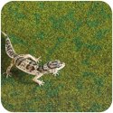 Repti-Zoo Resun Tropical Carpet Mat - mata do terrarium 80x30cm