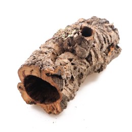 Terrario Kora z Dębu Korkowego XXL - na wagę
