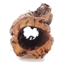 Terrario Kora z Dębu Korkowego XXL - na wagę