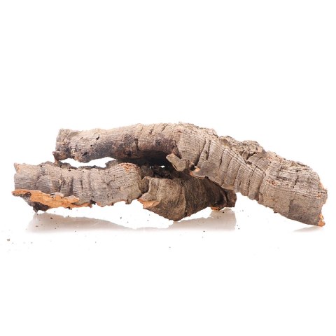 Kora z Dębu Korkowego - na wagę Terrario