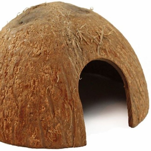 Terrario Terrario CocoCave L - połówka kokos gładki