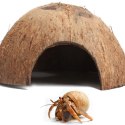 Terrario Terrario CocoCave L - połówka kokos gładki