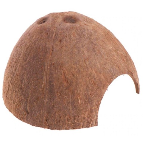 Terrario Terrario CocoCave L - połówka kokos gładki