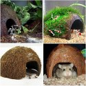Terrario Terrario CocoCave L - połówka kokos gładki