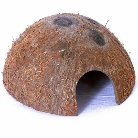 Terrario Terrario CocoCave L - połówka kokos naturalny