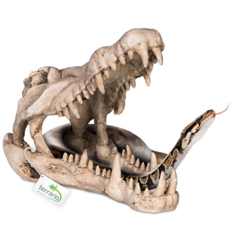 Terrario Crocodile Skull XL - czaszka krokodyla do terrarium 23x11x16 cm Terrario