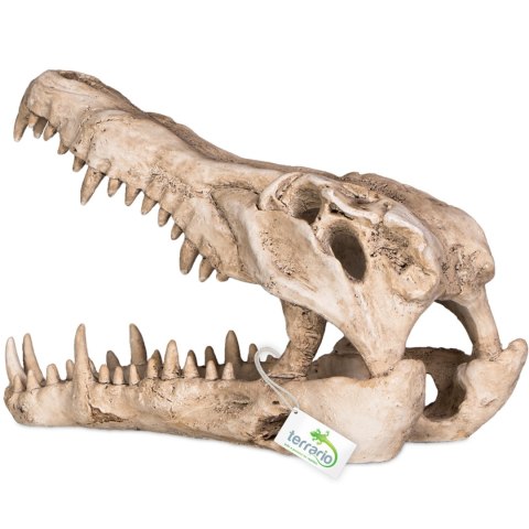 Terrario Crocodile Skull XL - czaszka krokodyla do terrarium 23x11x16 cm Terrario
