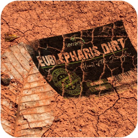 Terrario Terrario Eublepharis Dirt 1 kg - podłoże dla gekona lamparciego