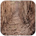 Terrario Terrario Monument Mud 1kg - mieszanka z gliną