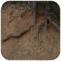 Terrario Terrario Monument Mud 1kg - mieszanka z gliną