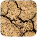 Terrario Terrario Monument Mud 1kg - mieszanka z gliną