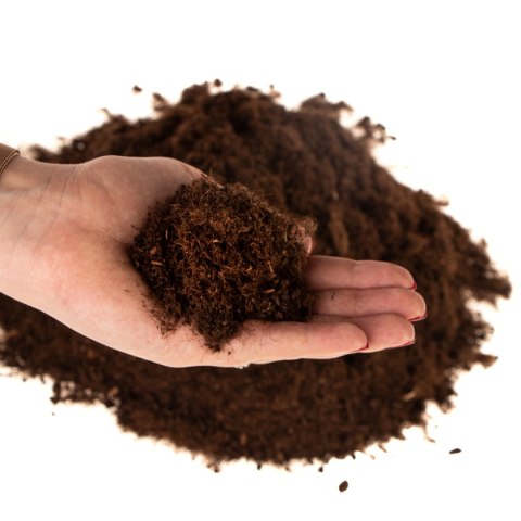 Terrario Terrario Paraguay Muds Powder - torf drobny 5l