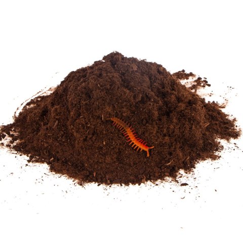 Terrario Terrario Paraguay Muds Powder - torf drobny 5l
