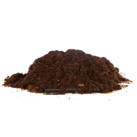 Terrario Terrario Paraguay Muds Powder - torf drobny 5l