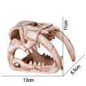 Terrario Terrario Sabertooth Skull - czaszka tygrysa do terrarium 13x8,5x11 cm