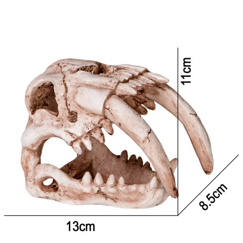 Terrario Terrario Sabertooth Skull - czaszka tygrysa do terrarium 13x8,5x11 cm