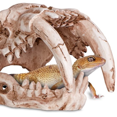 Terrario Terrario Sabertooth Skull - czaszka tygrysa do terrarium 13x8,5x11 cm