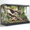 Terrario Terrario Sabertooth Skull - czaszka tygrysa do terrarium 13x8,5x11 cm
