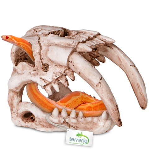 Terrario Terrario Sabertooth Skull - czaszka tygrysa do terrarium 13x8,5x11 cm